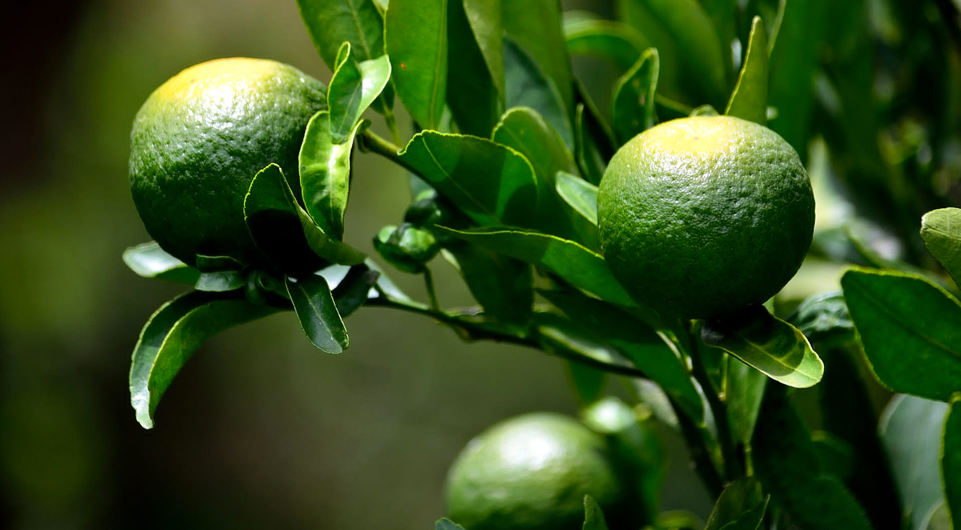 首页- yl永利集团中国区官方网站