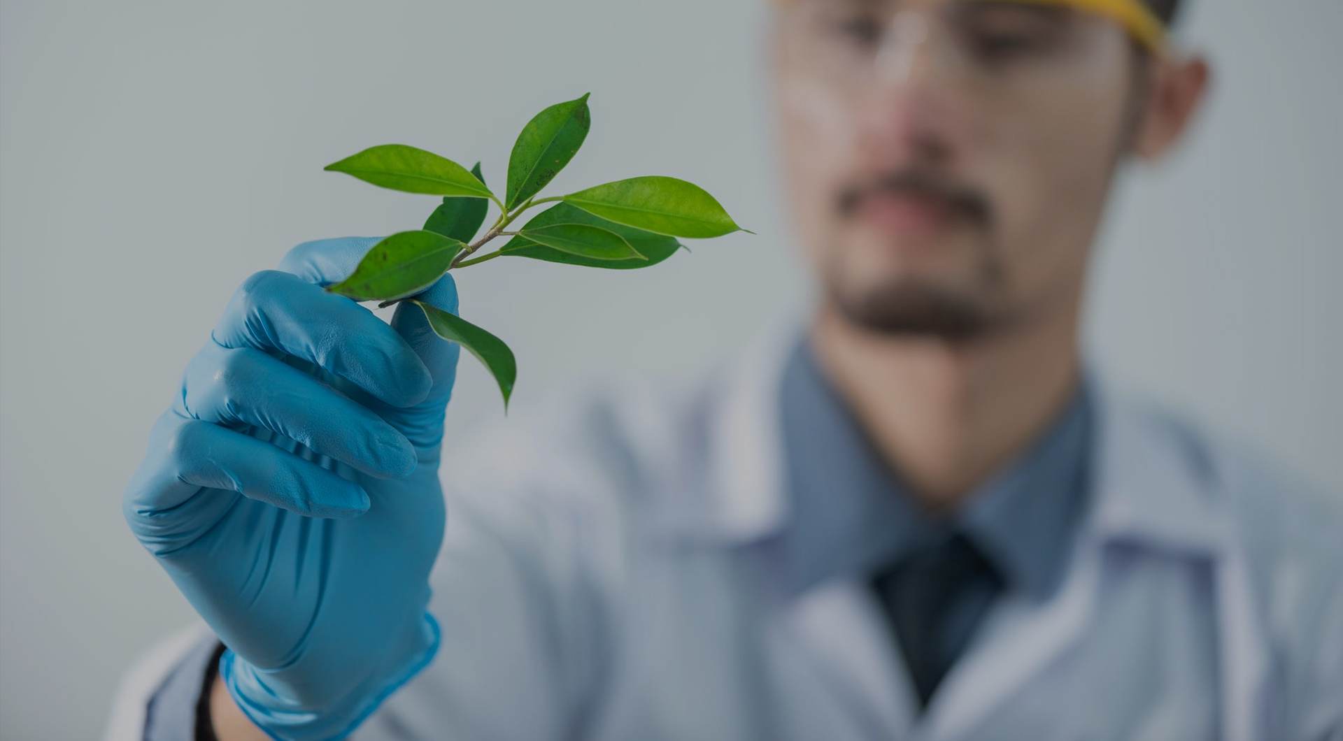 首页- yl永利集团中国区官方网站