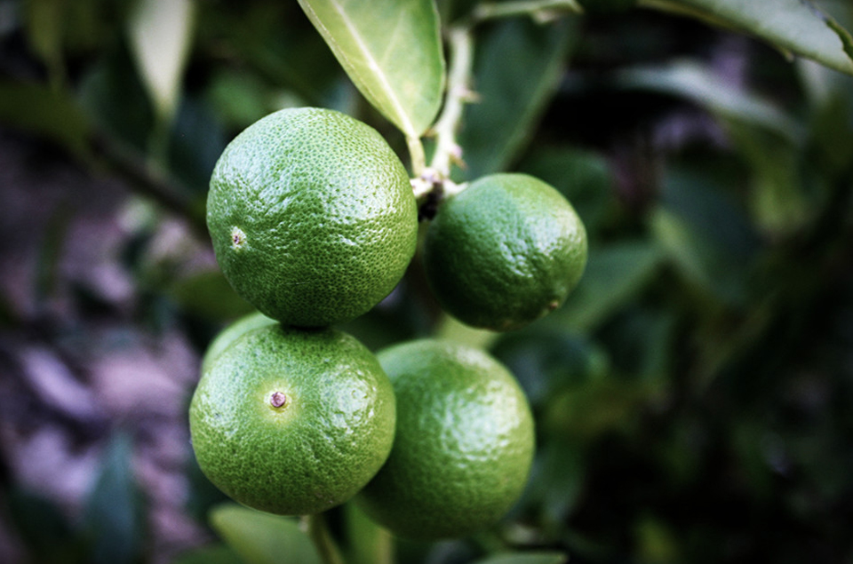 首页- yl永利集团中国区官方网站