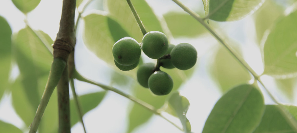 首页- yl永利集团中国区官方网站