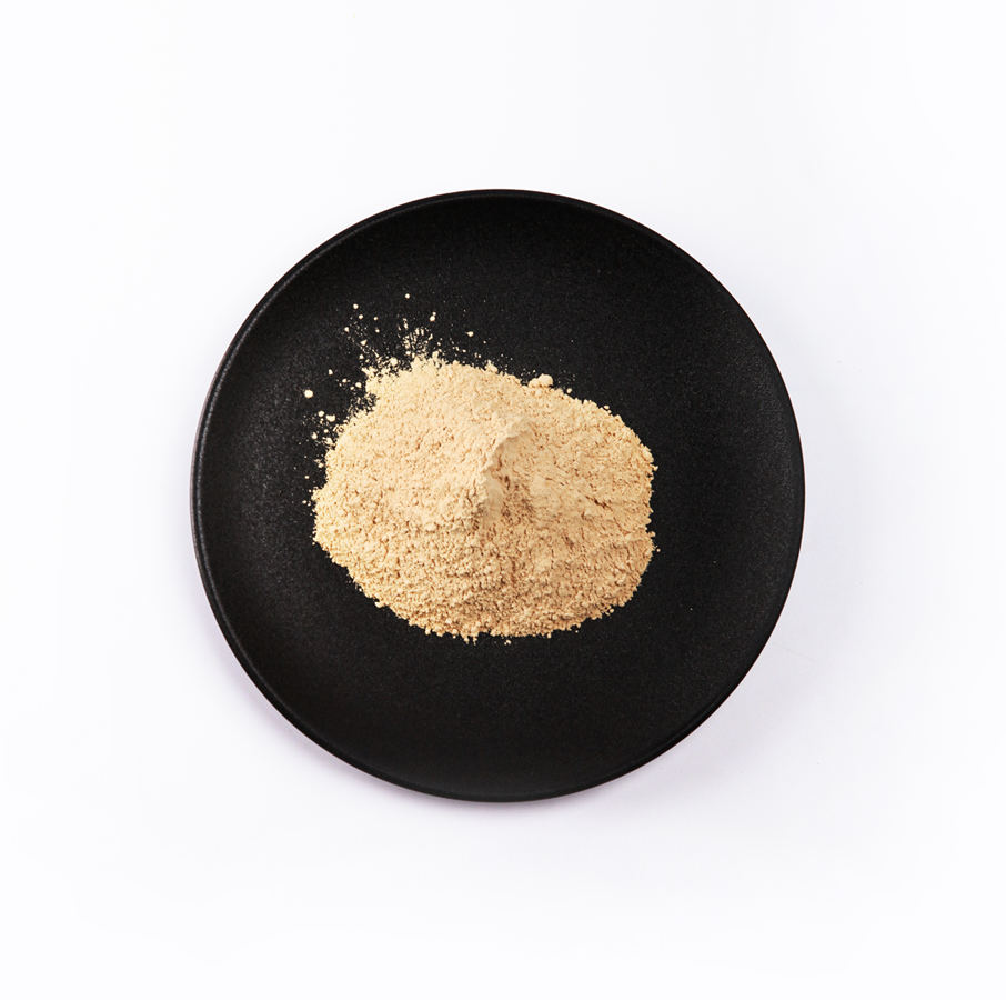 首页- yl永利集团中国区官方网站