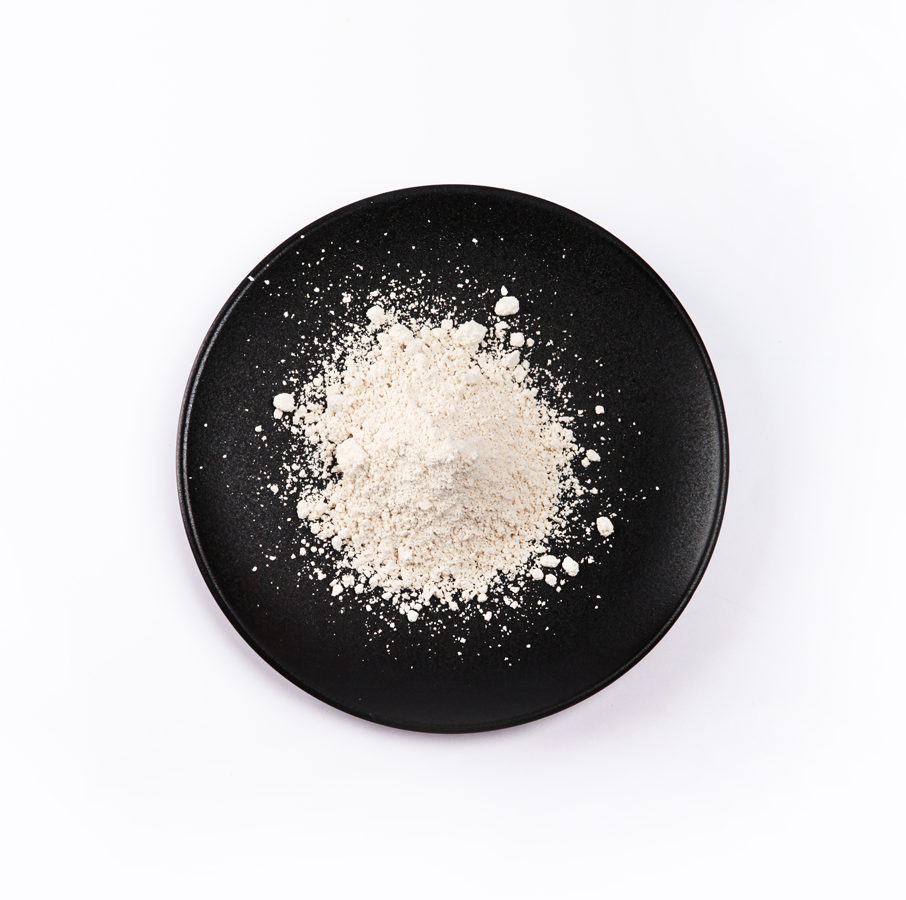 首页- yl永利集团中国区官方网站