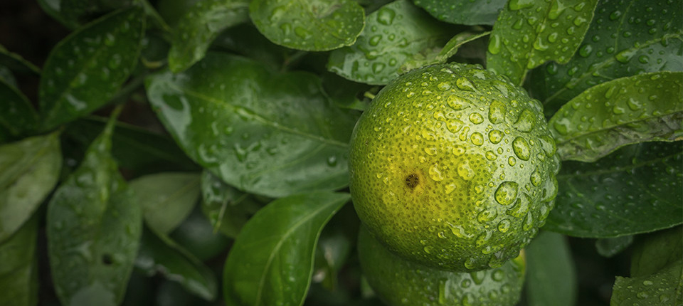 首页- yl永利集团中国区官方网站