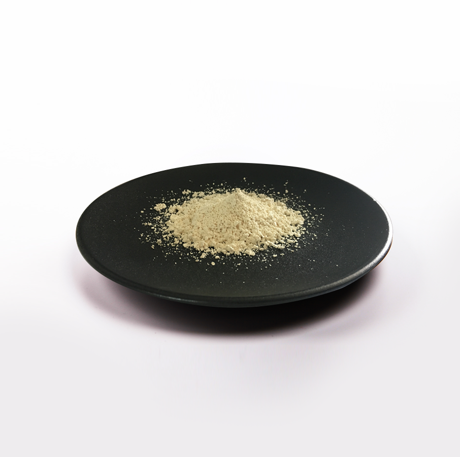 首页- yl永利集团中国区官方网站