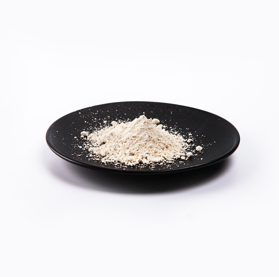 首页- yl永利集团中国区官方网站