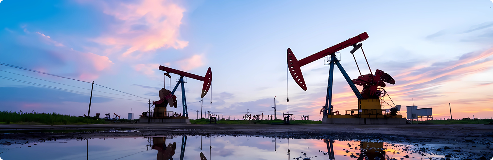 欧亿平台·(中国区)官方网站