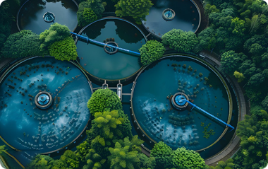 欧亿平台·(中国区)官方网站